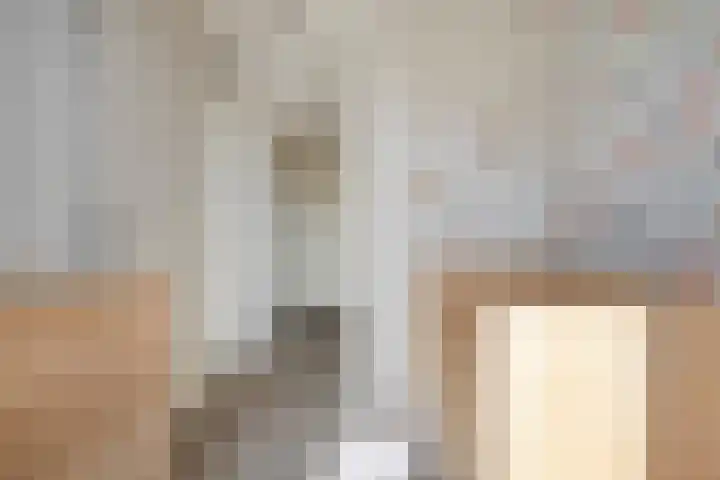 De Valk 5 Vriezenveen thumbnail 23