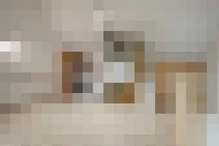 De Valk 5 Vriezenveen thumbnail 27