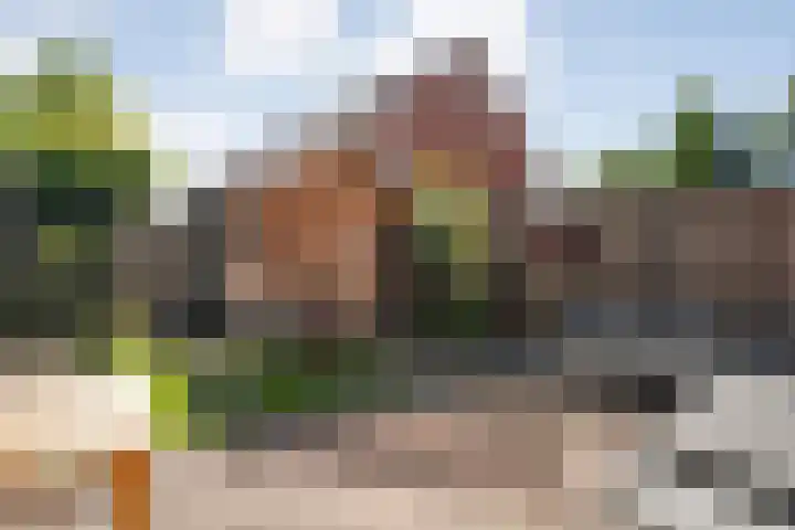 De Valk 5 Vriezenveen thumbnail 28