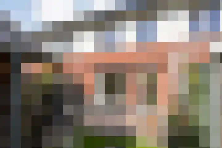 De Valk 5 Vriezenveen thumbnail 29