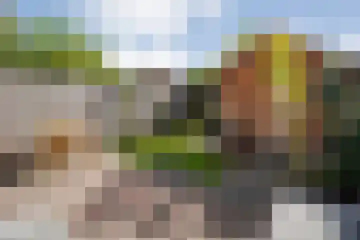 De Valk 5 Vriezenveen thumbnail 30