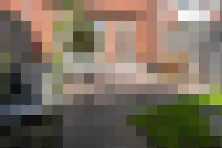 De Valk 5 Vriezenveen thumbnail 31