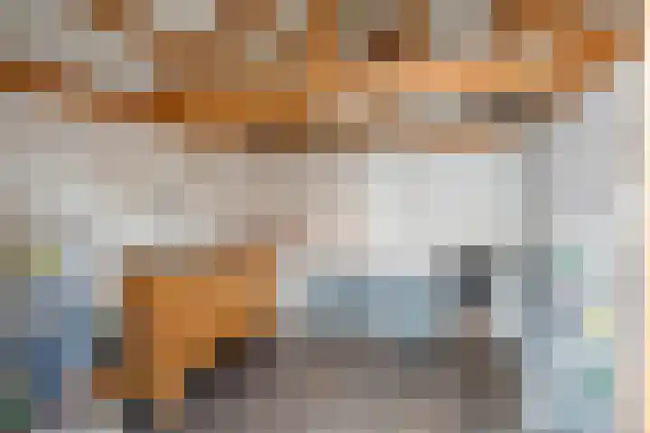 De Valk 5 Vriezenveen thumbnail 32
