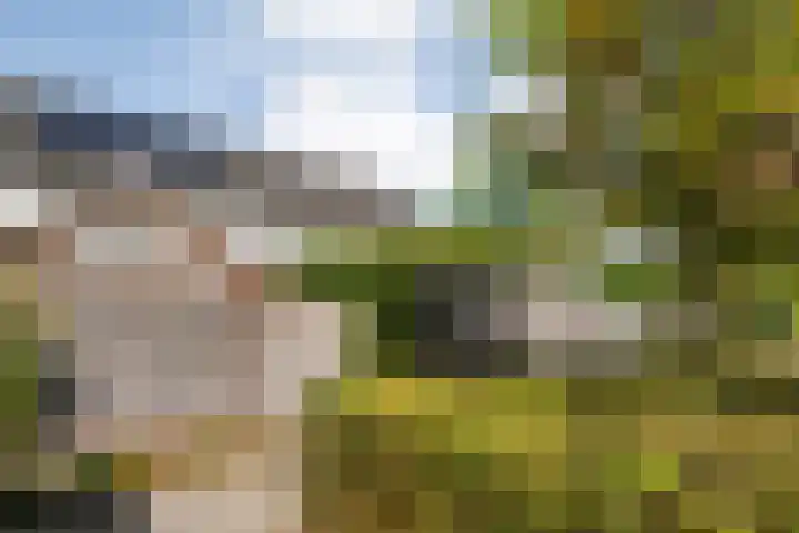 De Valk 5 Vriezenveen thumbnail 34