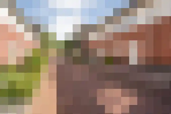 De Valk 5 Vriezenveen thumbnail 4