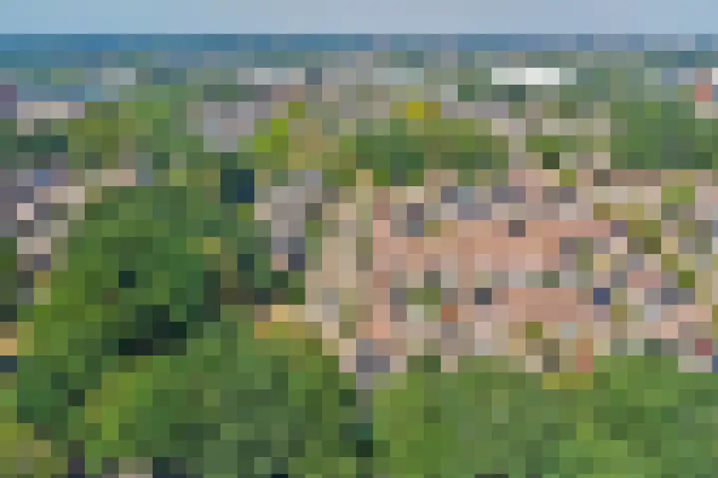De Valk 55 Almelo thumbnail 45