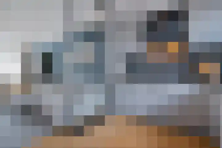 De Valkerij 18 Gramsbergen thumbnail 12