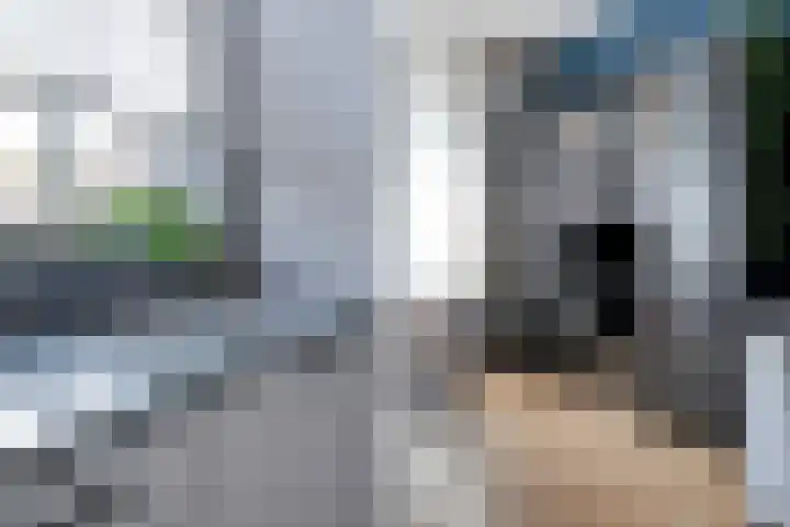 De Valkerij 18 Gramsbergen thumbnail 13