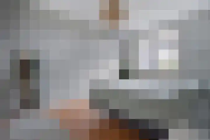 De Valkerij 18 Gramsbergen thumbnail 17