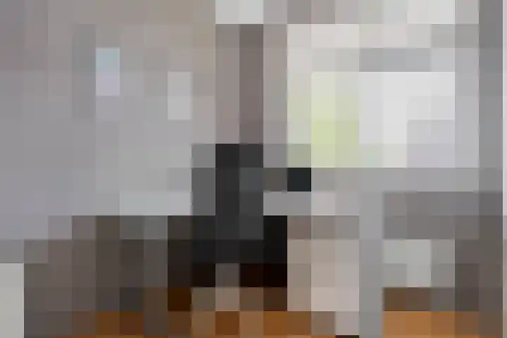 De Valkerij 18 Gramsbergen thumbnail 19
