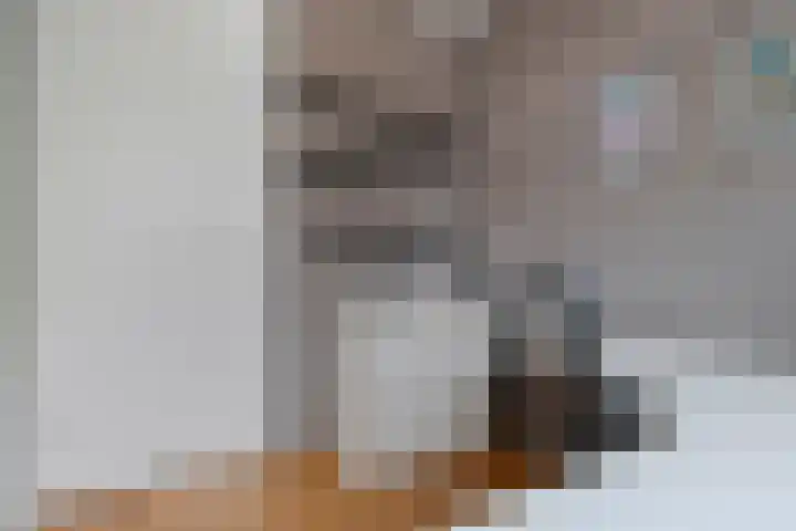 De Valkerij 18 Gramsbergen thumbnail 20