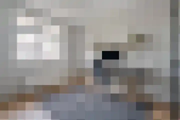 De Valkerij 18 Gramsbergen thumbnail 21