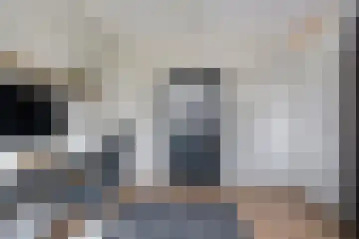De Valkerij 18 Gramsbergen thumbnail 22
