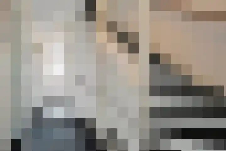De Valkerij 18 Gramsbergen thumbnail 26