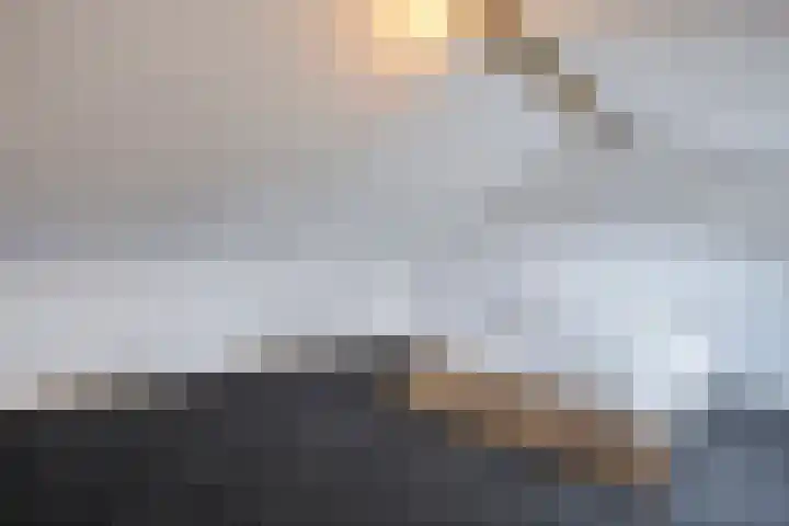 De Valkerij 18 Gramsbergen thumbnail 27