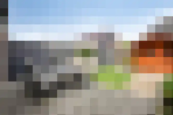 De Valkerij 18 Gramsbergen thumbnail 30