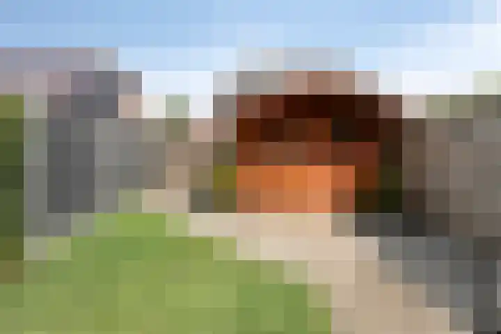 De Valkerij 18 Gramsbergen thumbnail 34
