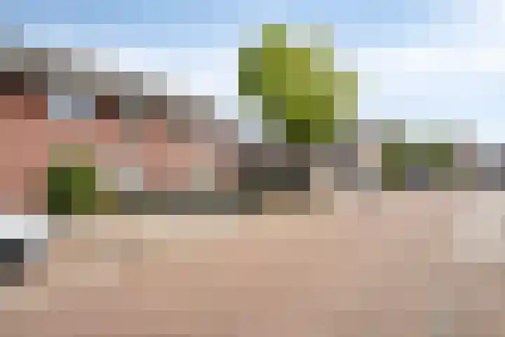 De Valkerij 18 Gramsbergen thumbnail 35