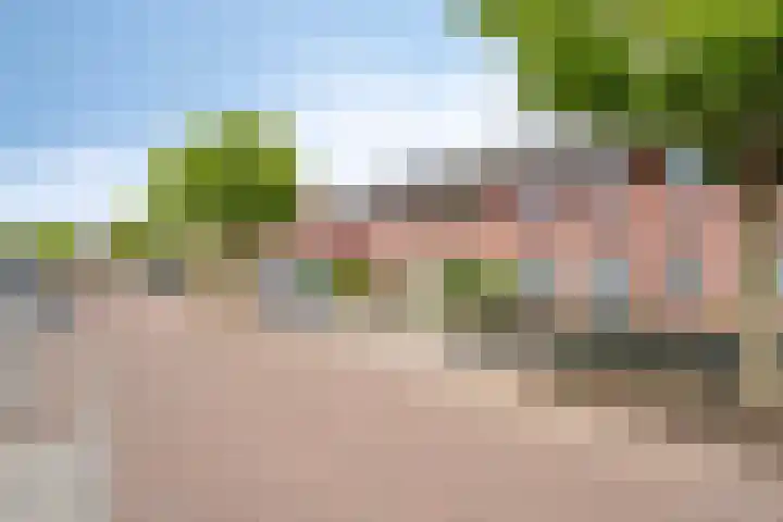De Valkerij 18 Gramsbergen thumbnail 36