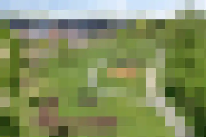 De Valkerij 18 Gramsbergen thumbnail 37