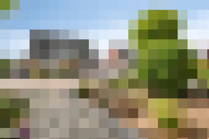 De Valkerij 18 Gramsbergen thumbnail 5
