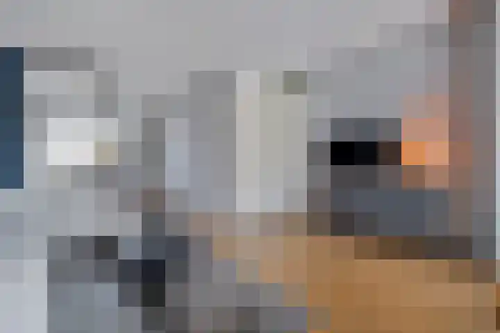 De Valkerij 18 Gramsbergen thumbnail 8