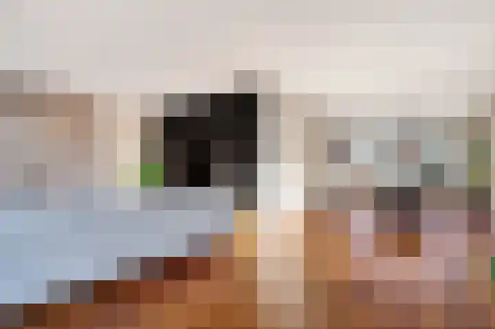 De Valkerij 23 Gramsbergen thumbnail 11