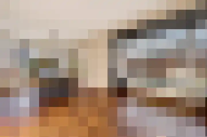 De Valkerij 23 Gramsbergen thumbnail 12
