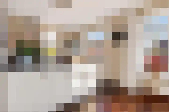 De Valkerij 23 Gramsbergen thumbnail 15