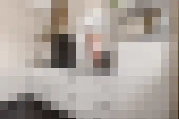 De Valkerij 23 Gramsbergen thumbnail 16