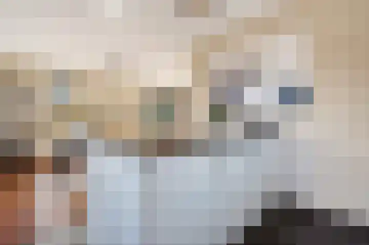 De Valkerij 23 Gramsbergen thumbnail 18