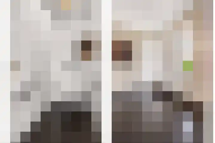 De Valkerij 23 Gramsbergen thumbnail 21
