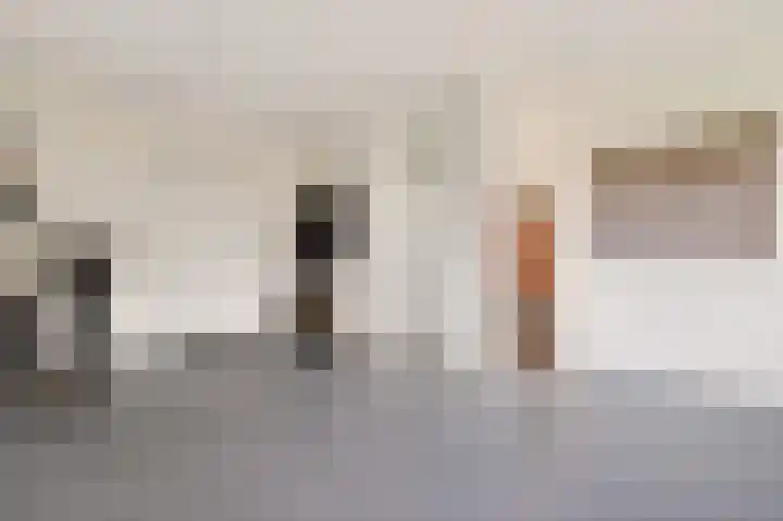 De Valkerij 23 Gramsbergen thumbnail 22