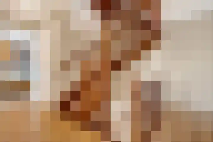 De Valkerij 23 Gramsbergen thumbnail 25