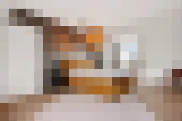 De Valkerij 23 Gramsbergen thumbnail 27