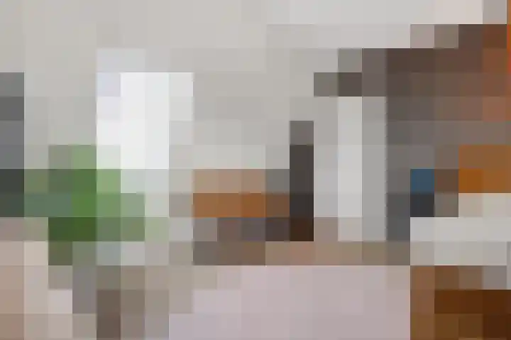 De Valkerij 23 Gramsbergen thumbnail 28