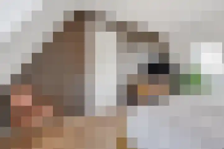De Valkerij 23 Gramsbergen thumbnail 30