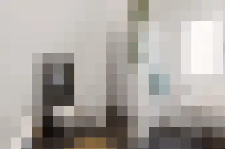 De Valkerij 23 Gramsbergen thumbnail 31