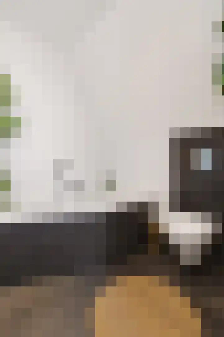 De Valkerij 23 Gramsbergen thumbnail 32