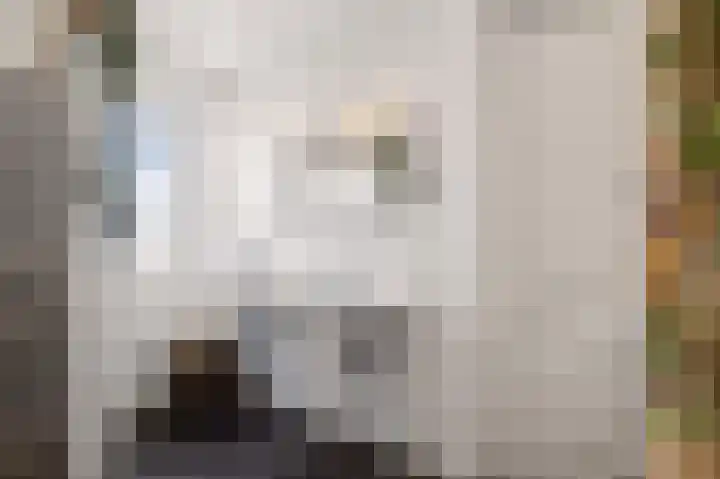 De Valkerij 23 Gramsbergen thumbnail 33