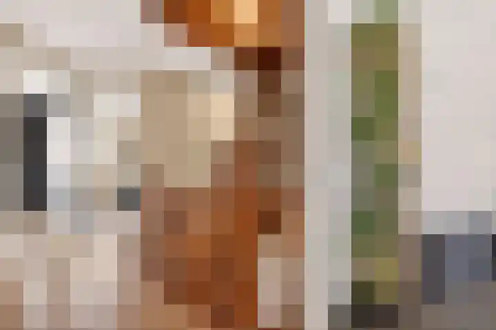 De Valkerij 23 Gramsbergen thumbnail 34