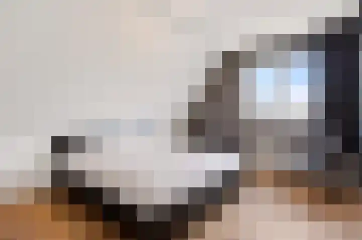 De Valkerij 23 Gramsbergen thumbnail 37