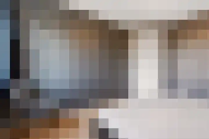 De Valkerij 23 Gramsbergen thumbnail 38