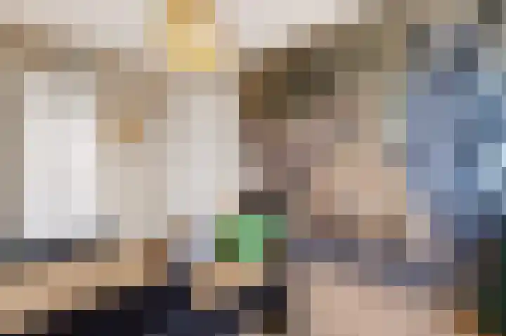 De Valkerij 23 Gramsbergen thumbnail 40