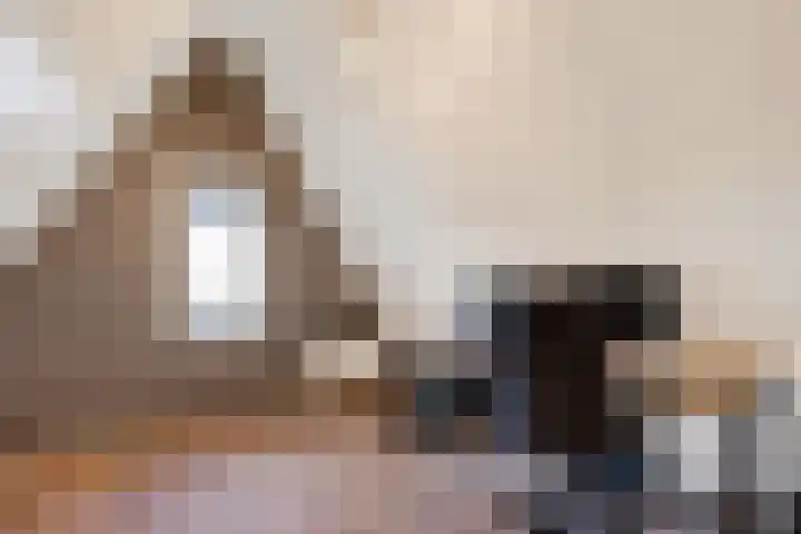 De Valkerij 23 Gramsbergen thumbnail 42