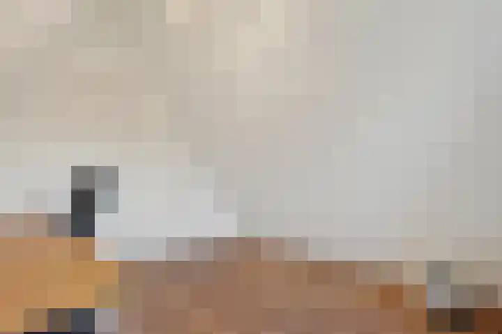 De Valkerij 23 Gramsbergen thumbnail 43