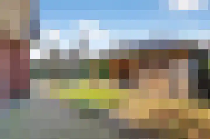 De Valkerij 23 Gramsbergen thumbnail 45