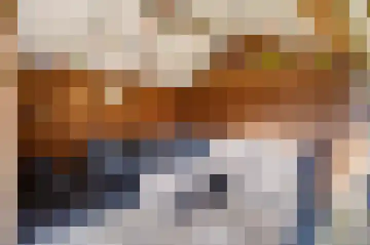 De Valkerij 23 Gramsbergen thumbnail 46