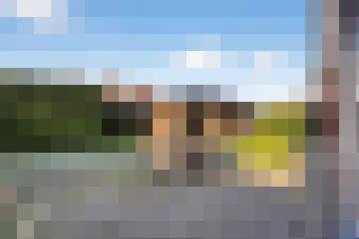 De Valkerij 23 Gramsbergen thumbnail 48