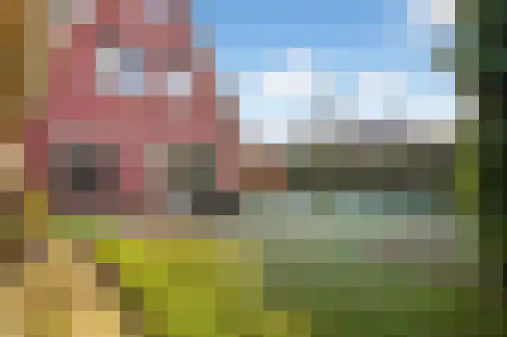 De Valkerij 23 Gramsbergen thumbnail 49